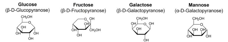 Glucides - Monosaccharides